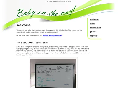 Wellington's Baby Website